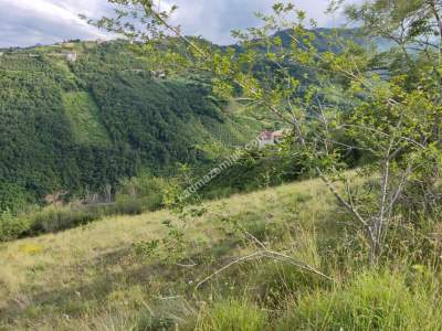 Trabzon Akçaabat Kavaklı'da Satılık Arazi 4