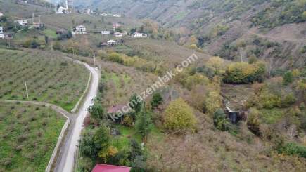 Trabzon Akçaabat Kavaklı'da Satılık 22 Dönüm Arazi 16