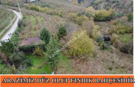 Trabzon Akçaabat Kavaklı'da Satılık 22 Dönüm Arazi 13