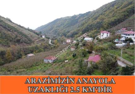 Trabzon Akçaabat Kavaklı'da Satılık 22 Dönüm Arazi 12