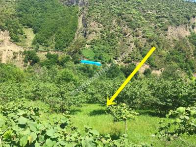 Trabzon Akçaabat Kavaklı'da Satılık 22 Dönüm Arazi 4