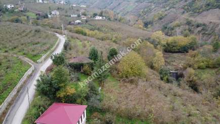 Trabzon Akçaabat Kavaklı'da Satılık 22 Dönüm Arazi 21