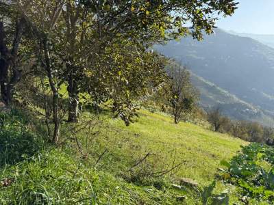 Akçaabat Kirazlık Köyünde Satılık 1384 M2 Arazi 3