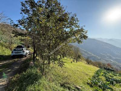 Akçaabat Kirazlık Köyünde Satılık 1384 M2 Arazi 4