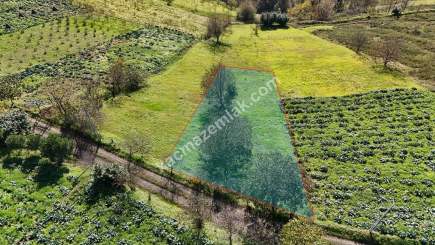 Akçaabat Kirazlık Köyünde Satılık 1384 M2 Arazi 5