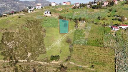 Akçaabat Kirazlık Köyünde Satılık 1384 M2 Arazi 7