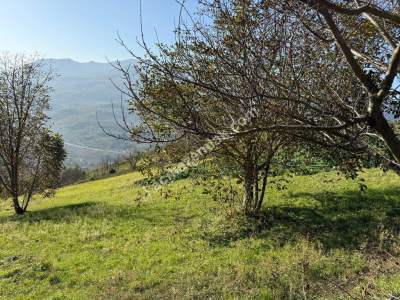 Akçaabat Kirazlık Köyünde Satılık 1384 M2 Arazi 13