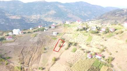 Trabzon Akçaabat Kirazlık Köyünde Satılık Arazi 10