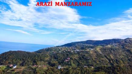 Trabzon Akçaabat Mersinde Satılık 1170 M2 Arazi 16