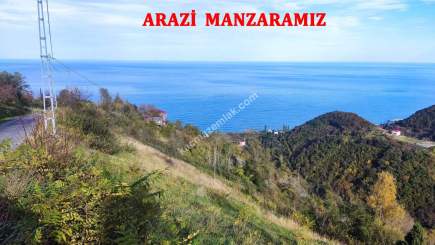 Trabzon Akçaabat Mersinde Satılık 1170 M2 Arazi 12