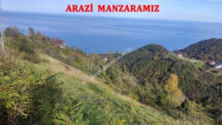 Trabzon Akçaabat Mersinde Satılık 1170 M2 Arazi 13