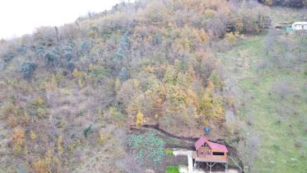 Trabzon Akçaabat Mersin'de Satılık Arazi 5