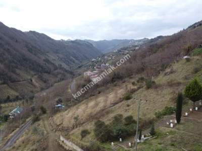 Trabzon Akçaabat Darıca'da Satılık Arazi 16