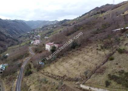 Trabzon Akçaabat Darıca'da Satılık Arazi 15