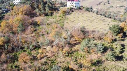 Trabzon Akçaabat Salacık'ta Satılık Arazi 19