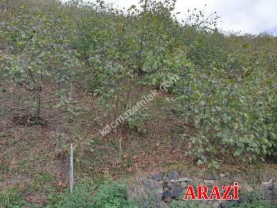 Trabzon Akçaabat Uçarsu'da Satılık 1231 M2 Arazi 1