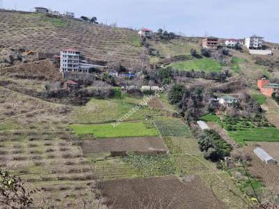Trabzon Akçaabat Yeni Mahallede Satılık Arazi 2