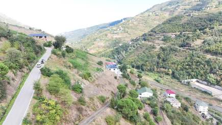 Akçaabat Yeşiltepede Düzköy Yoluna Yakın Satılık Arazi 3