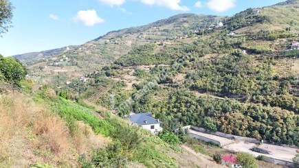 Akçaabat Yeşiltepede Düzköy Yoluna Yakın Satılık Arazi 8