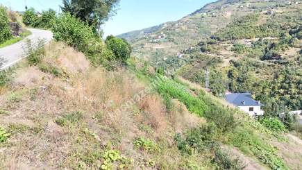 Akçaabat Yeşiltepede Düzköy Yoluna Yakın Satılık Arazi 7