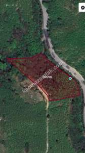 Arsinde Satılık Arsa 1