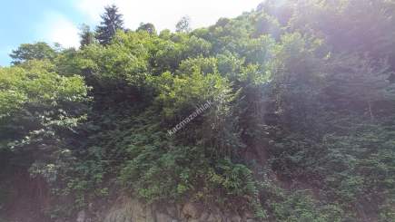 Arsinde Satılık Arsa 5