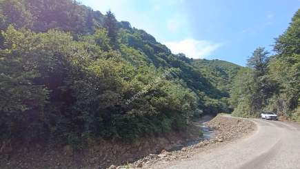 Arsinde Satılık Arsa 13