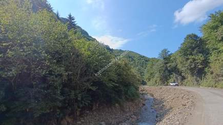 Arsinde Satılık Arsa 11