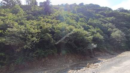 Arsinde Satılık Arsa 8