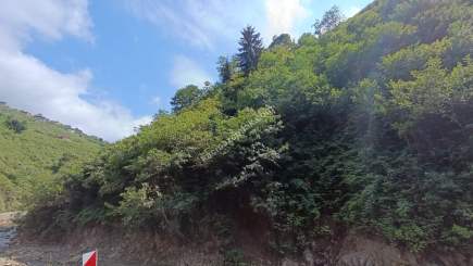 Arsinde Satılık Arsa 4