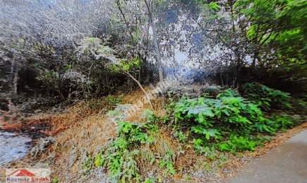 Satılık Manzaralı Arsa 5