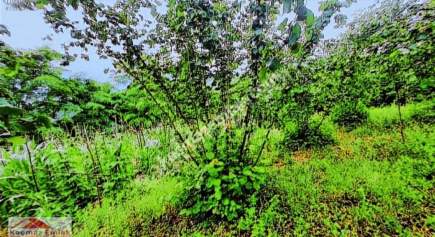 Satılık Manzaralı Arsa 2