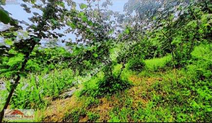Satılık Manzaralı Arsa 7