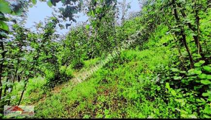 Satılık Manzaralı Arsa 6