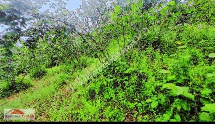 Satılık Manzaralı Arsa 3