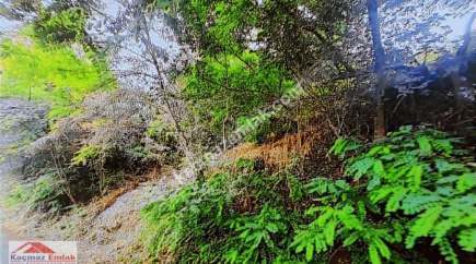 Satılık Manzaralı Arsa 4