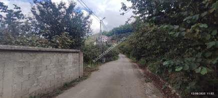 Geçit Mahallesinde Yola Cepheli Satılık Fındık Bahçesi 1