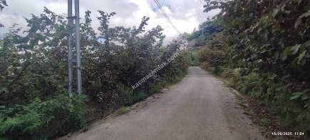 Geçit Mahallesinde Yola Cepheli Satılık Fındık Bahçesi 2