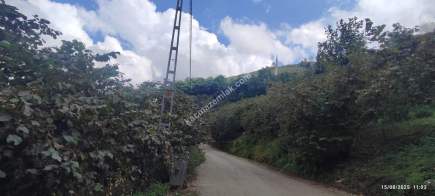 Geçit Mahallesinde Yola Cepheli Satılık Fındık Bahçesi 4