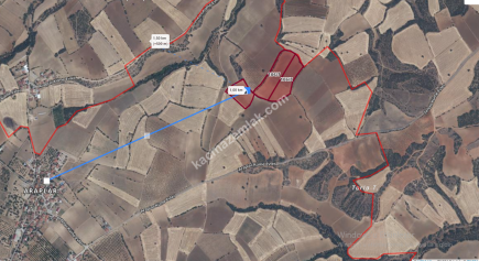 Uşak Eşme Araplar Köyünde Satılık Tarla 2