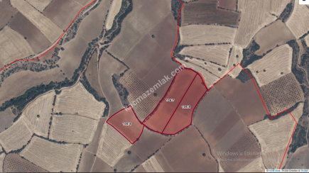 Uşak Eşme Araplar Köyünde Satılık Tarla 1