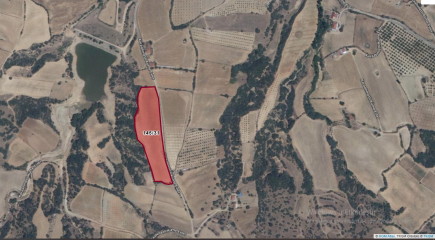 Uşak Eşme Karaahmetli Köyünde Satılık Tarla 1