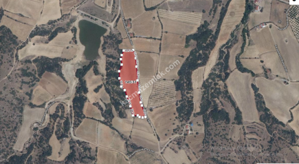 Uşak Eşme Karaahmetli Köyünde Satılık Tarla 4