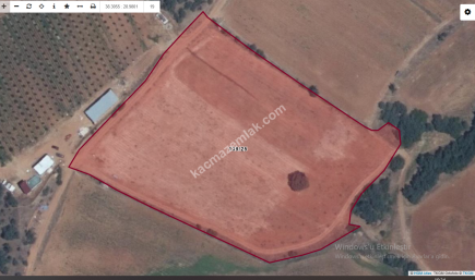 Uşak Eşme Yeşilkavak Köyünde Satılık Tarla 1