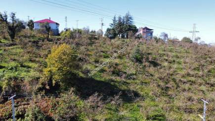 Trabzon 1.Nolu Bostancıda Sosyal İmarlı Arsa Takaslı 5