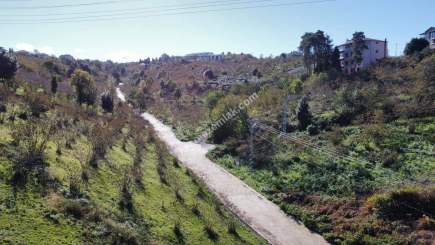 Trabzon 1.Nolu Bostancıda Sosyal İmarlı Arsa Takaslı 8