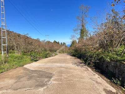 Trabzon 1.Nolu Bostancıda Sosyal İmarlı Arsa Takaslı 10