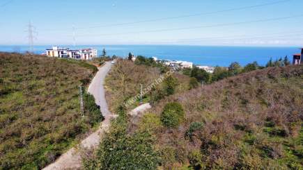 Trabzon 1.Nolu Bostancıda Sosyal İmarlı Arsa Takaslı 7