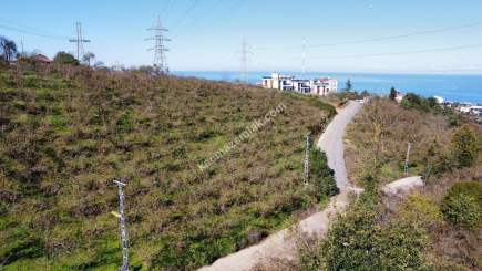 Trabzon 1.Nolu Bostancıda Sosyal İmarlı Arsa Takaslı 6