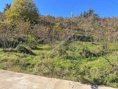 Trabzon 1.Nolu Bostancıda Sosyal İmarlı Arsa Takaslı 14